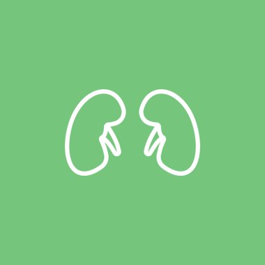 İnsan böbrekler simgesi