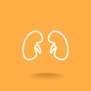 İnsan böbrekler simgesi