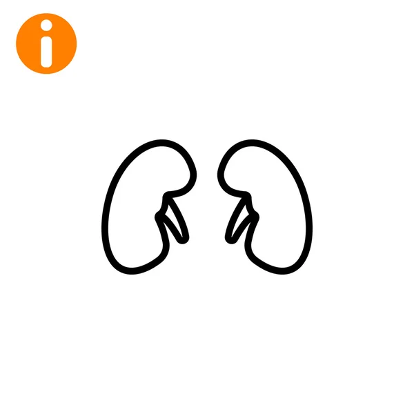 Human kidneys icon — Stock Vector