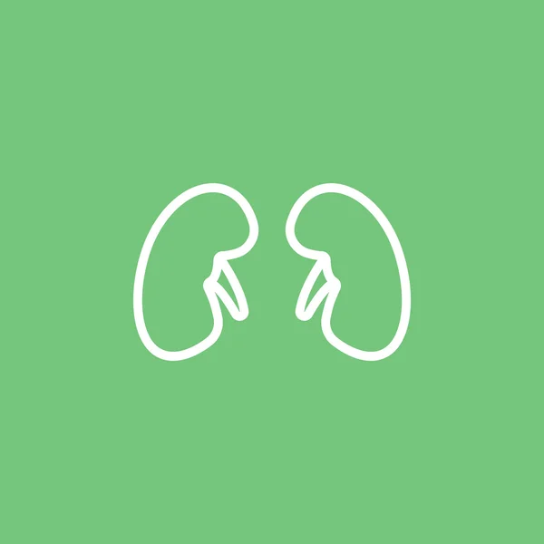 Menselijke nieren pictogram — Stockvector