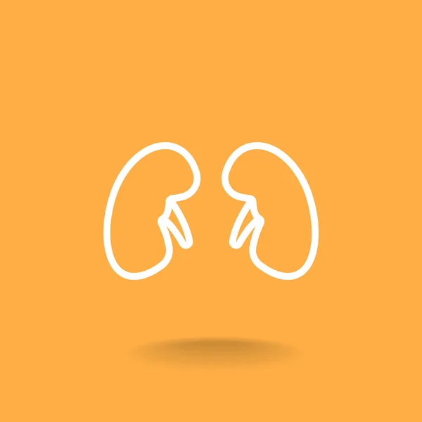 Ikone der menschlichen Nieren — Stockvektor