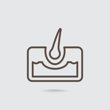 saç anatomisi simgesi