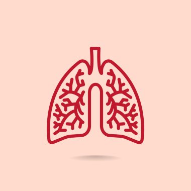 Akciğerler anatomi simgesi
