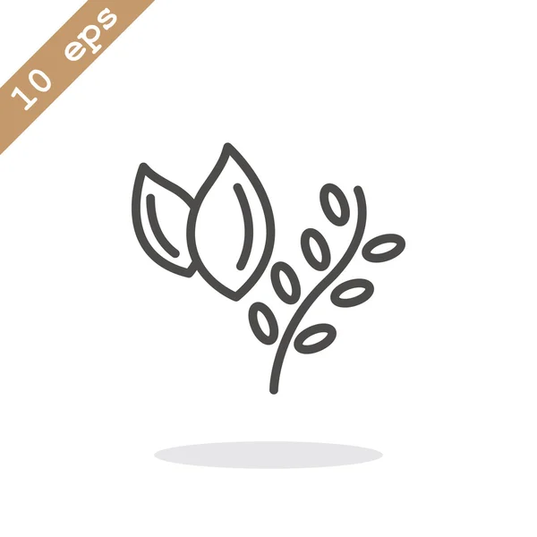 Cooking herb icon — Stock Vector