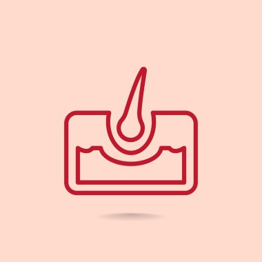 saç anatomisi simgesi