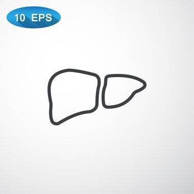 karaciğer anatomi simgesi