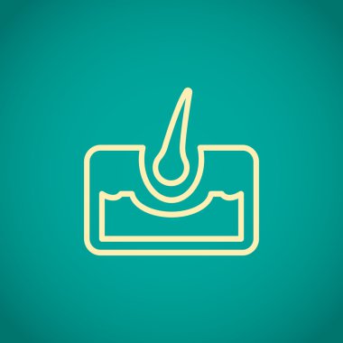 saç anatomisi simgesi