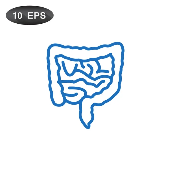 Икона анатомии кишечника — стоковый вектор