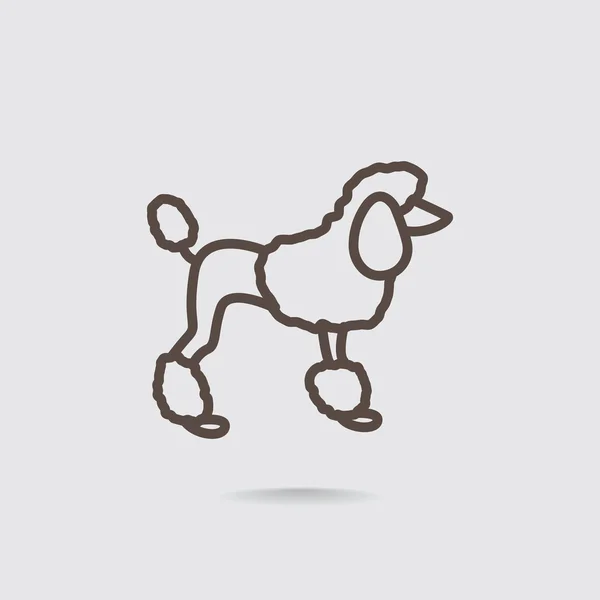 French poodle icon — Stock Vector
