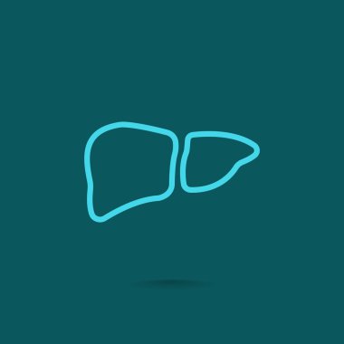 karaciğer anatomi simgesi