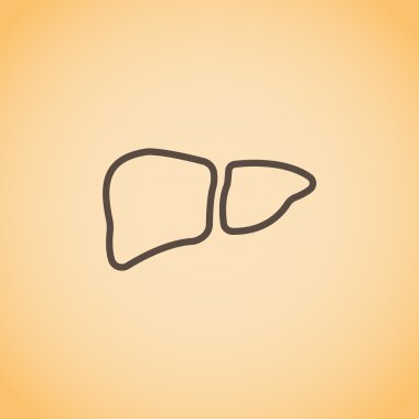 karaciğer anatomi simgesi