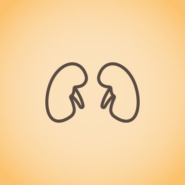 Böbrek anatomisi simgesi