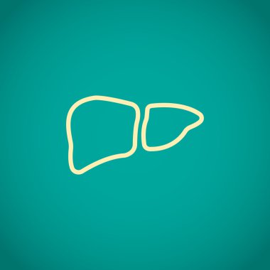 karaciğer anatomi simgesi