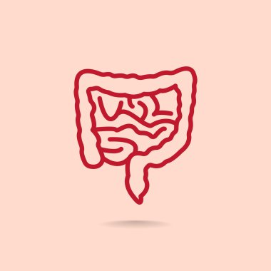 bağırsak anatomi simgesi