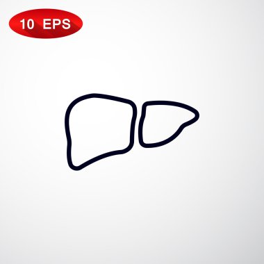 karaciğer anatomi simgesi