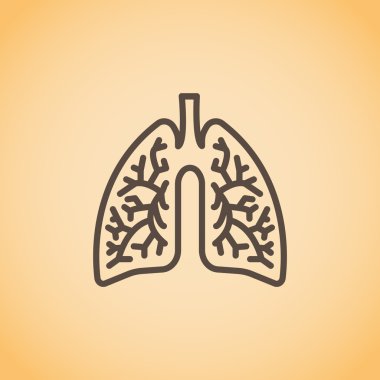 Akciğerler anatomi simgesi
