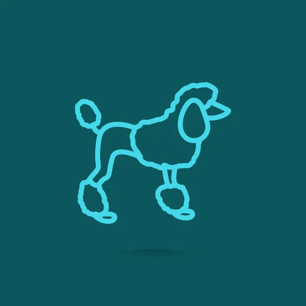 French poodle icon — Stock Vector