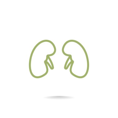 Böbrek organ simgesi