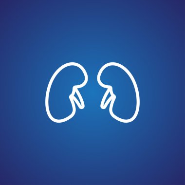 Böbrek organ simgesi