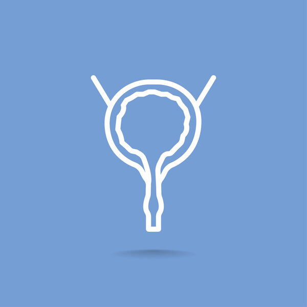 Urinary bladder icon