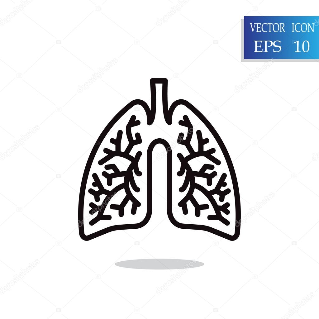 human lungs icon