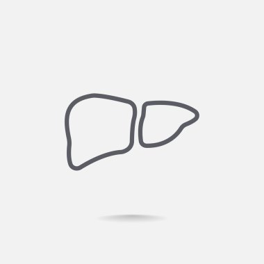  karaciğer organ simgesi