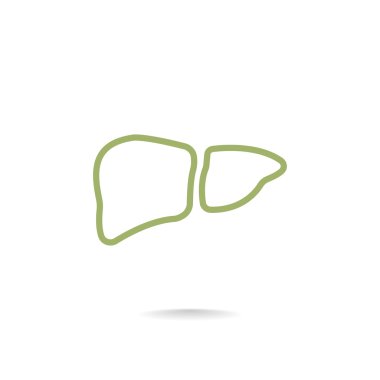  karaciğer organ simgesi