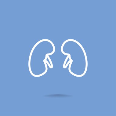 Böbrek organ simgesi