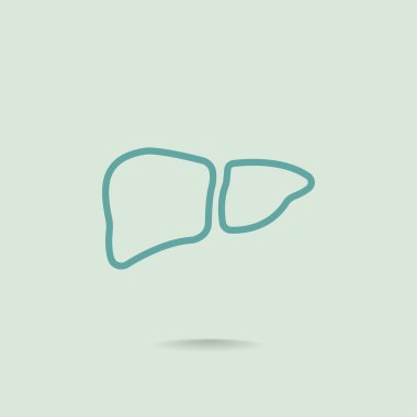  karaciğer organ simgesi