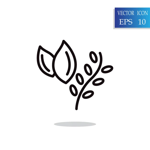 Hierbas de cocina, plantas icono de la comida — Vector de stock