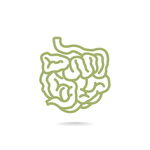 Icono de intestino delgado — Vector de stock