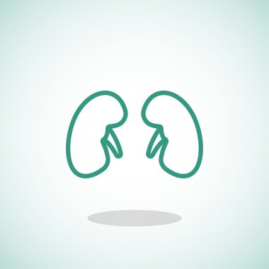 Böbrek organ simgesi