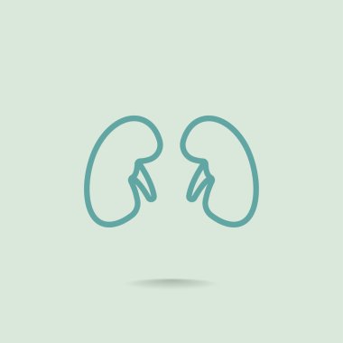 Böbrek organ simgesi