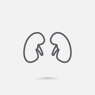 Böbrek organ simgesi