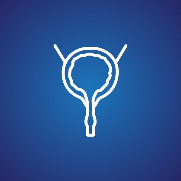 Urinary bladder icon