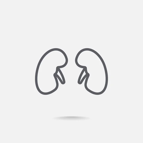 Kidneys organ icon — Stock Vector