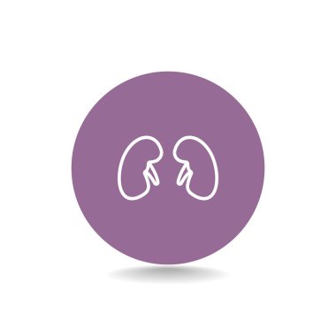 Böbrek organ simgesi