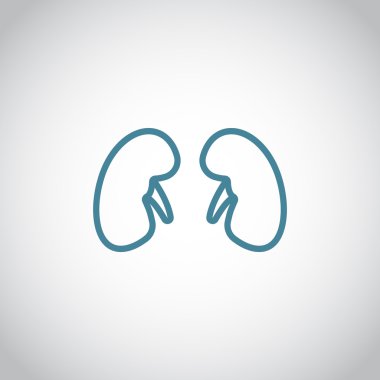 Böbrek organ simgesi