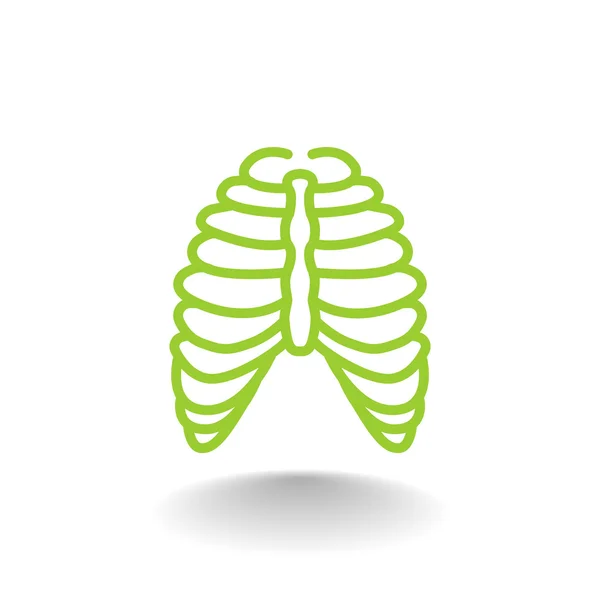 Icône thorax humain — Image vectorielle