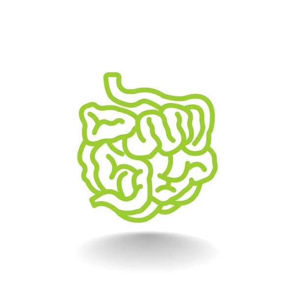 Icono de intestino delgado — Vector de stock