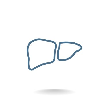  karaciğer organ simgesi