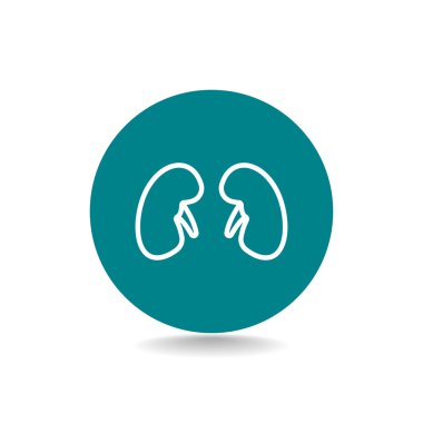 Böbrek organ simgesi