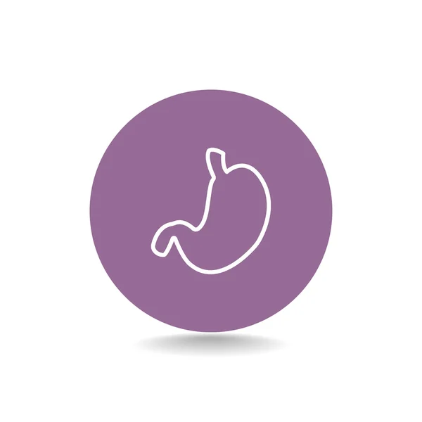 Human stomach icon — Stock Vector