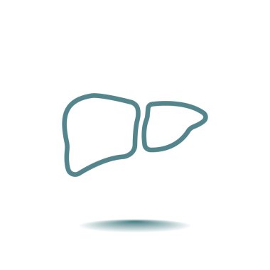  karaciğer organ simgesi