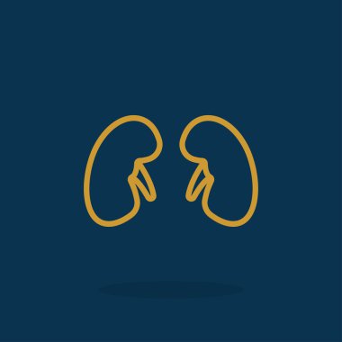 Böbrek organ simgesi