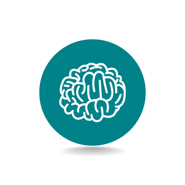 人間の脳のアイコン — ストックベクタ