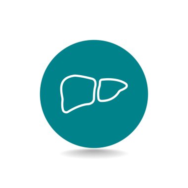  karaciğer organ simgesi