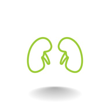 Böbrek organ simgesi