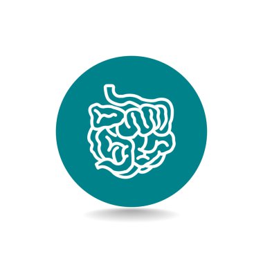 küçük bağırsak simgesi