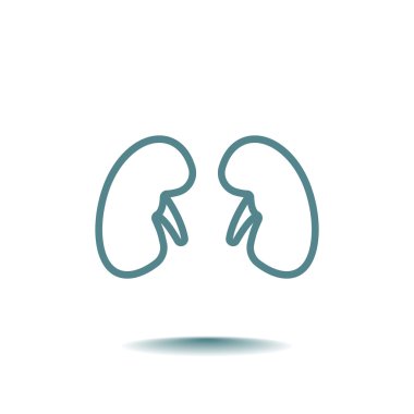 Böbrek organ simgesi
